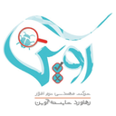 لوگوی مهندسی نرم افزار رهاورد شایسته آوین | AVIN