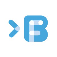 لوگوی Big Fish Consult
