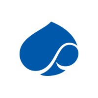 لوگوی Capgemini Engineering