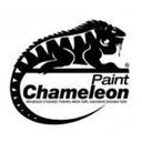لوگوی کامل رنگ شکیبا | ChameleonPaint