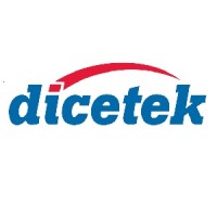لوگوی Dicetek LLC