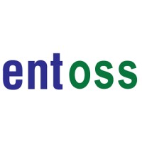 لوگوی Entoss Technologies