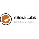 لوگوی ایزورا | eSora