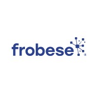 لوگوی frobese GmbH Informatikservices