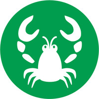 لوگوی Lobster