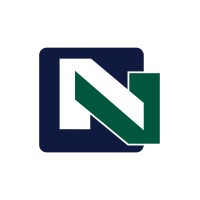 لوگوی New Value Solutions