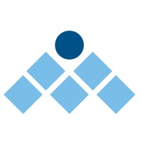 لوگوی Management Solutions International (MSI)
