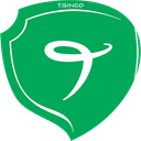 لوگوی تدبیر سیستم ایرانیان | Tsinco