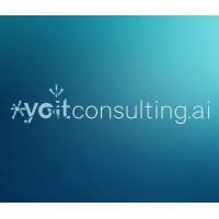 لوگوی YO IT Consulting